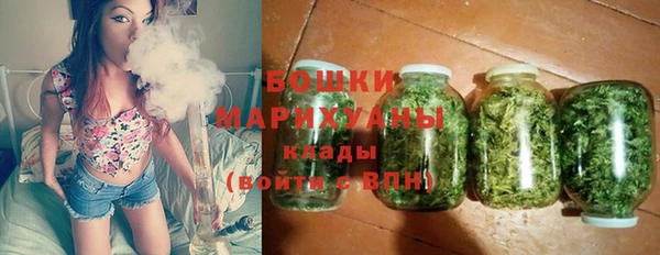 дживик Верея