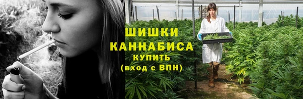 сатива Волосово